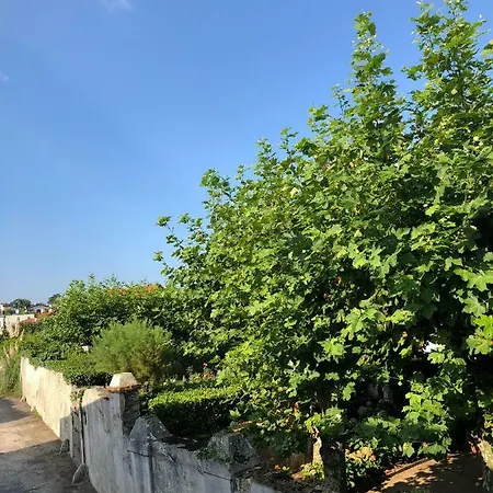 Parlementia, Domaine Koskenia *