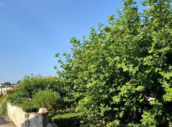 Parlementia, Domaine Koskenia *